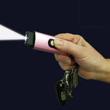 Streetwise USB Secure Keychain Stun Gun